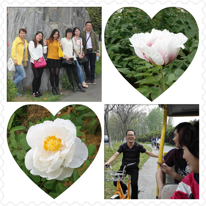 �½������(�й���)�ٷ���վ