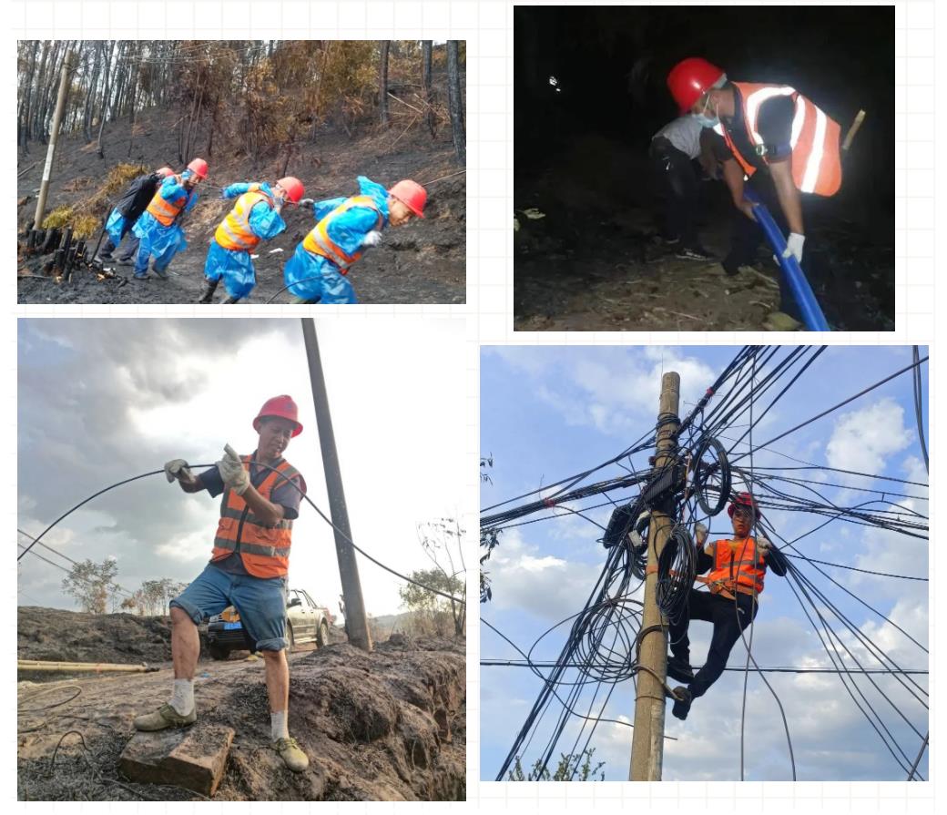 �½������(�й���)�ٷ���վ